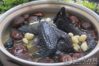 霜降养生食材：白果炖乌鸡