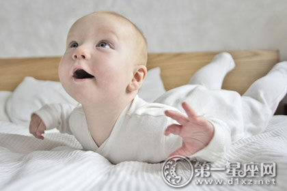 生肖解说