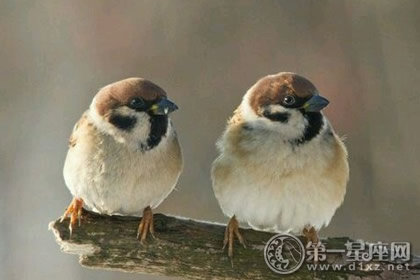 儿童睡前故事