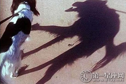 民间故事
