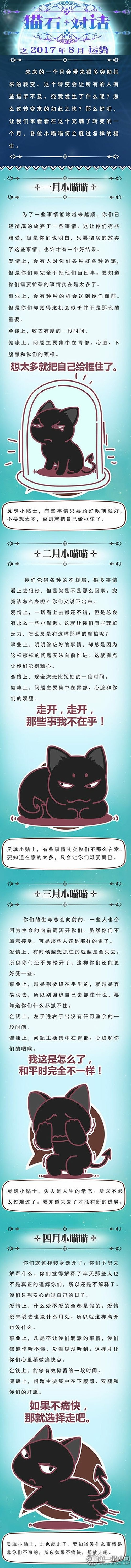 猫石对话