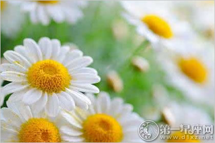 乙未日柱人的命运解析