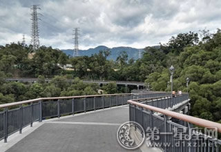 金雞山空中棧道