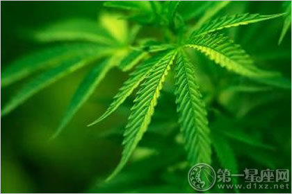 三命通会：庚戌日不同时辰生人的命运解析