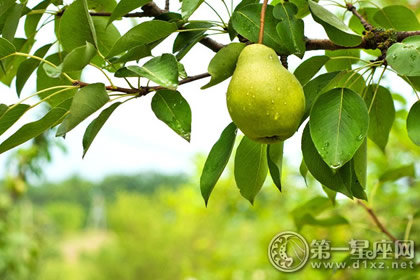 夏季養(yǎng)生