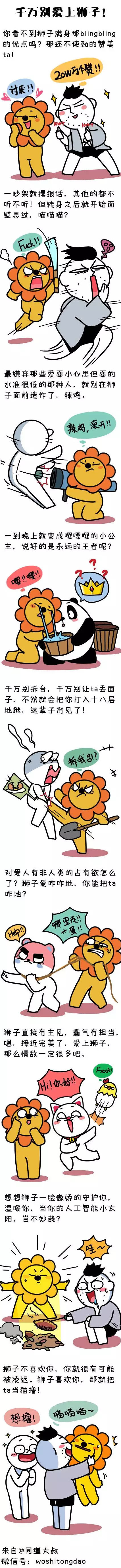 千万别爱上狮子座
