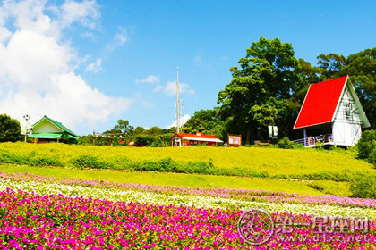 台湾大溪花海农场 