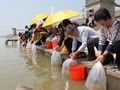 放生所务必知道的讲究