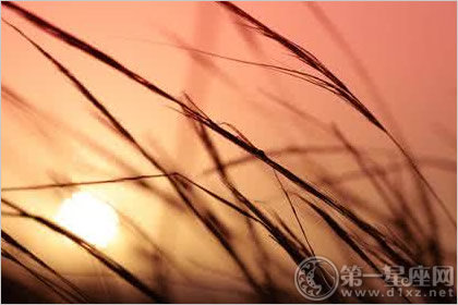 三命通会：壬辰日不同时辰生人的命运解析