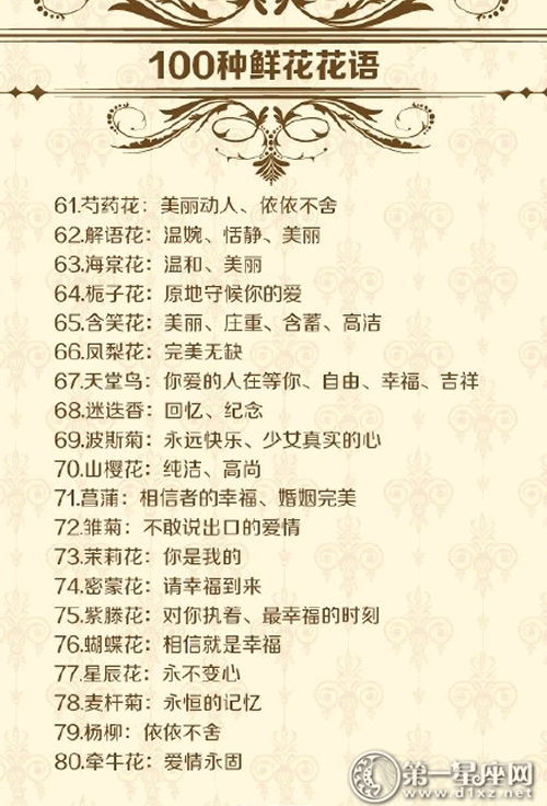 七夕 你该知道100种鲜花的花语