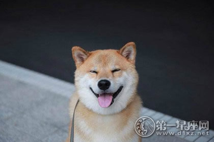 民间故事