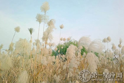 苏州吴中白露吃鳗鱼　