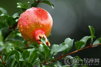 中秋节送石榴怎样挑好的 中秋节吃石榴的注意事项