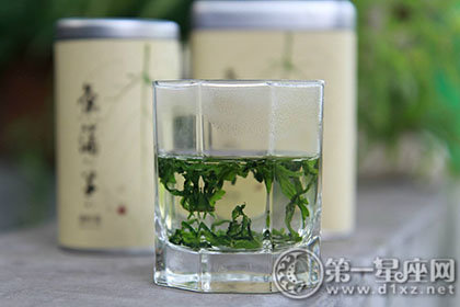 桑叶茶