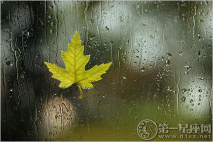 综合测试 综合测试