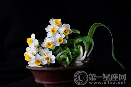 水仙花