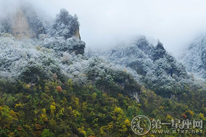 立冬吃什么御寒