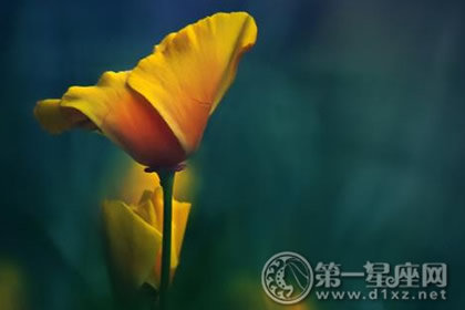 生日性格：12月27日出生的人