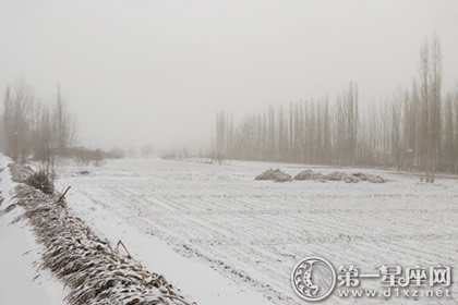 小雪节气农事