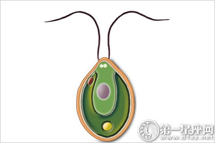 综合测试 综合测试