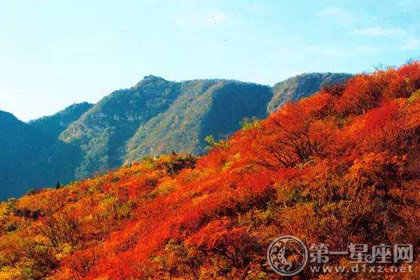 辽代以后的重阳节习俗