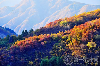 重阳节养生