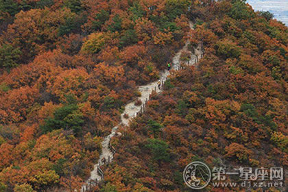 中老年人重阳节养肝润肺是重点