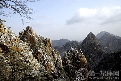 小雪吃什么抗抑郁