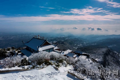 小雪吃什么抗抑郁1