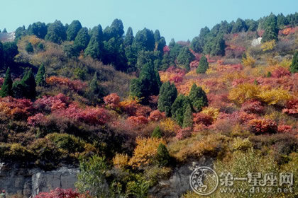 山西重阳节习俗