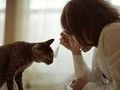 属虎的人适不适合养猫有什么禁忌