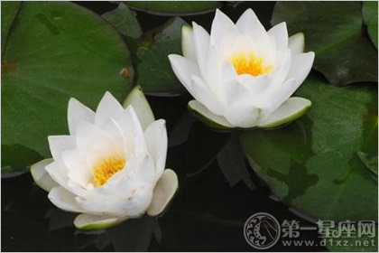 爱情测试 爱情测试