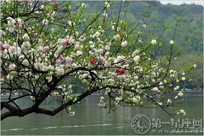 综合测试 综合测试