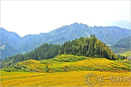 广东欧家村梯田