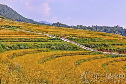 廣東歐家村梯田