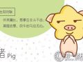 属猪人春节后的运势走向