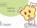 属兔人春节后的运势走向