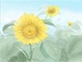 3月6日是什么节日 世界青光眼日