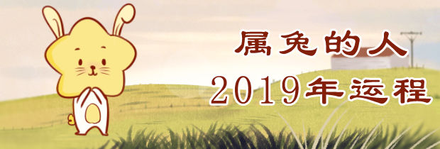 属兔的人2019年运程