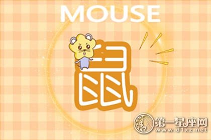 鼠