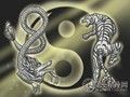 演反派成功的星座明星