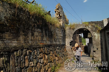 福建骆姓