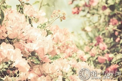 2018年2月16号属狗