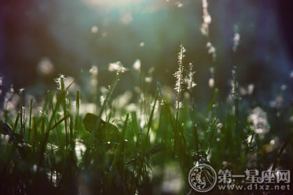 2018年3月20号属狗