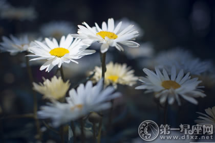 1月5日生日性格解析