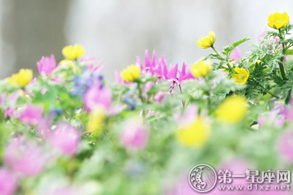 1月11日生日性格解析