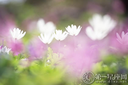 1月12日生日性格解析