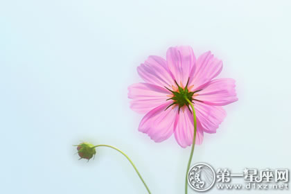 1月14日生日性格解析