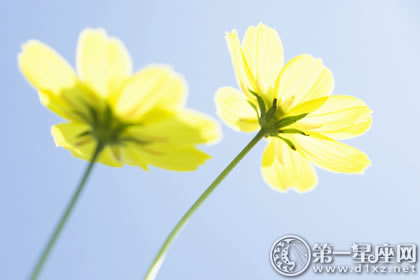 1月15日生日性格解析