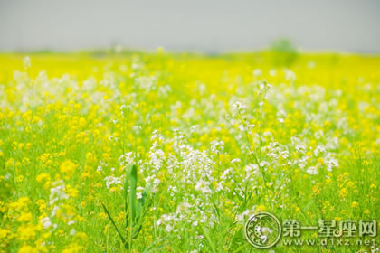 4月13日生日性格解析